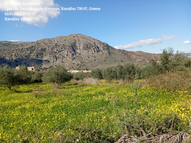 Kavallos Village